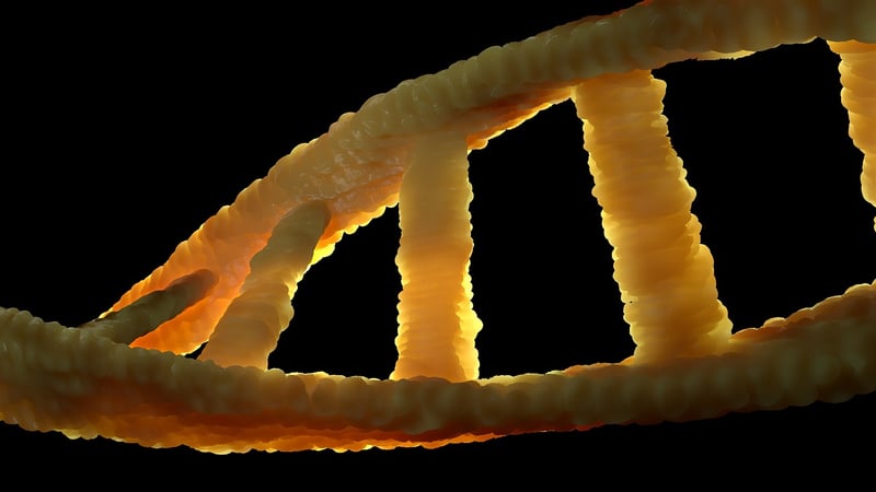 Bioengineered Ecosystems